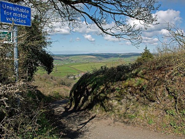 Codden Hill Circular