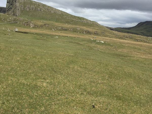 Neist Point