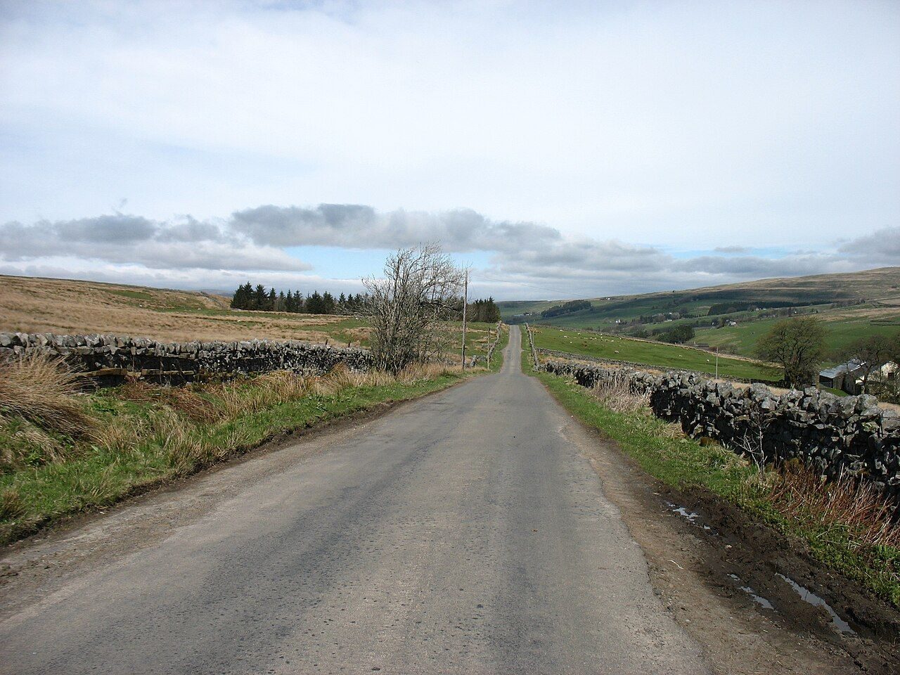 Tynehead and Ashgill Force from near Garrigill