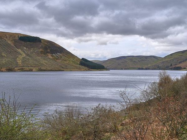 St. Mary's Loch Circular